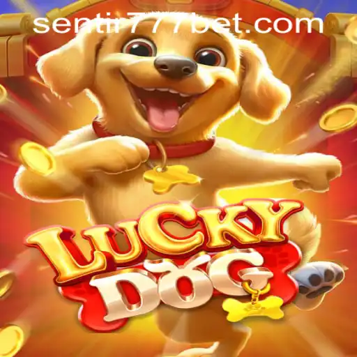 Explorando o Jogo de Azar: LuckyDog e o Mundo dos Cassinos Online